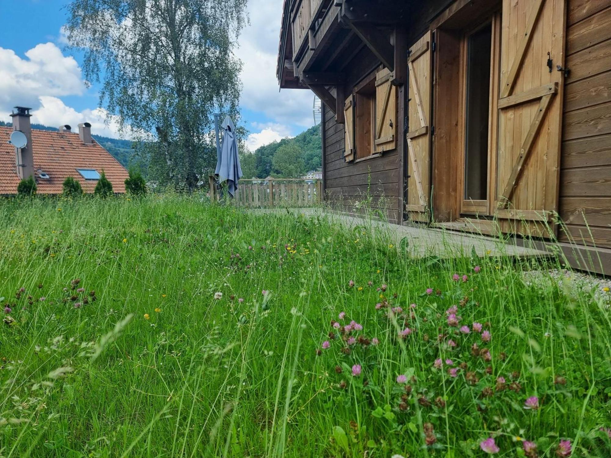 Le Chalet Du Pere Michel, Jacuzzi, Sauna, Jardin Ла-Бресс Экстерьер фото